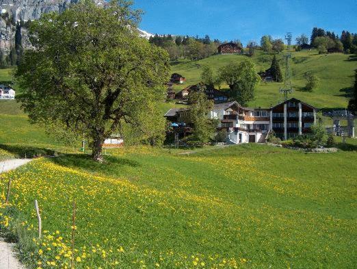 Hotel Restaurant Cristal Braunwald Bagian luar foto